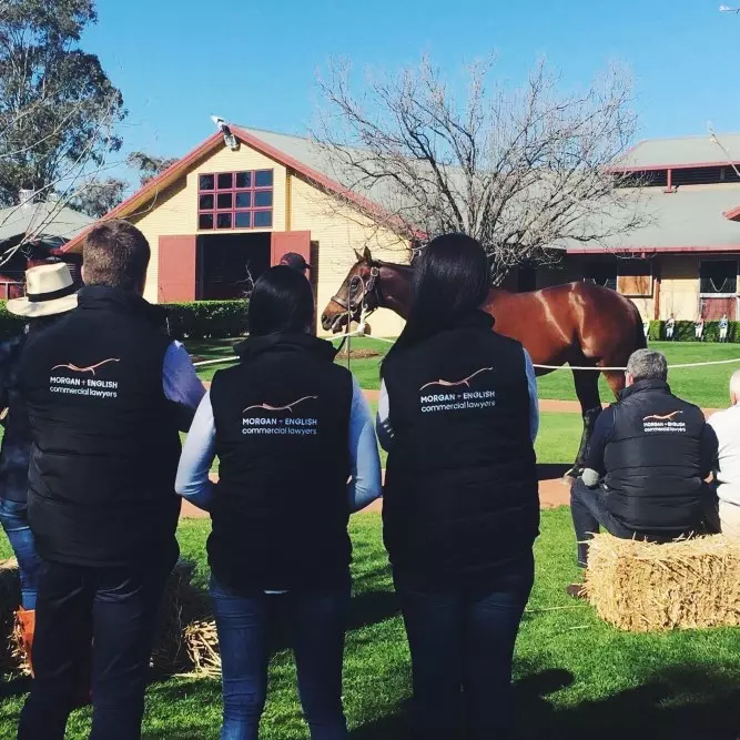 Newgate Stallion Parade 2 Morgan English staff at parade