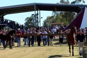 The Inglis Sale at Scone